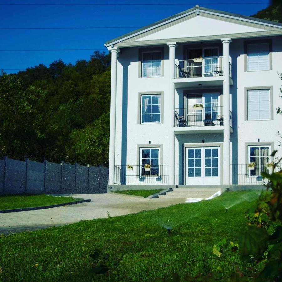 Green Hill Villa Călimăneşti Extérieur photo