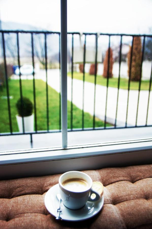Green Hill Villa Călimăneşti Extérieur photo