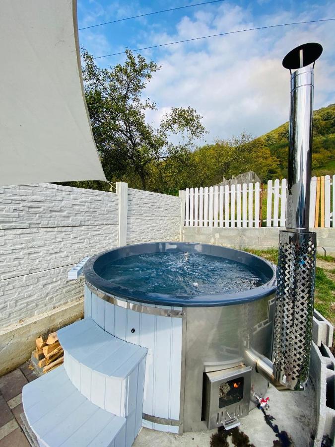 Green Hill Villa Călimăneşti Extérieur photo