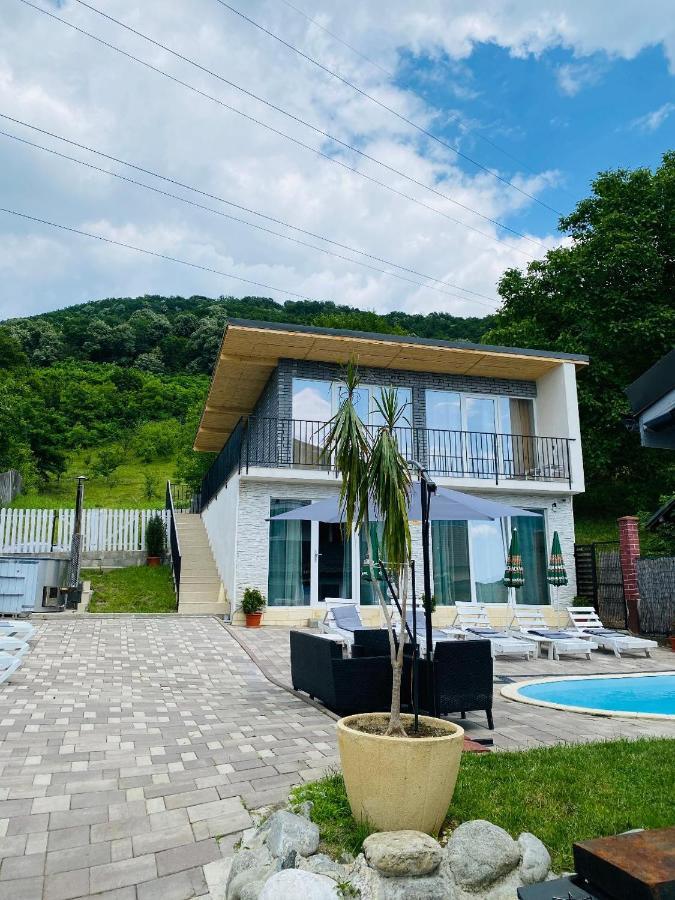 Green Hill Villa Călimăneşti Extérieur photo