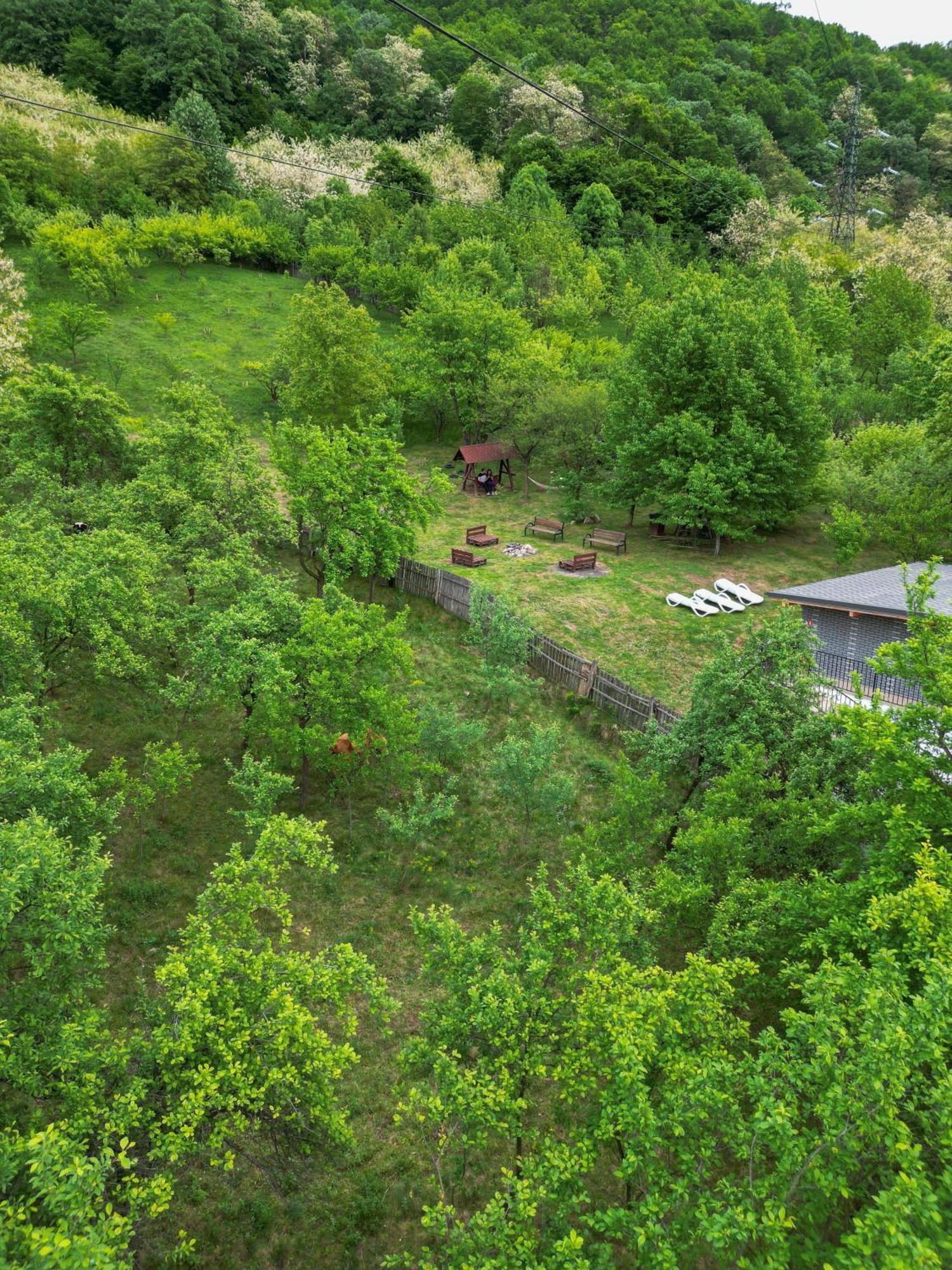 Green Hill Villa Călimăneşti Extérieur photo