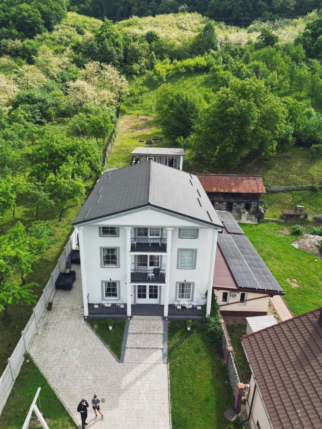 Green Hill Villa Călimăneşti Extérieur photo